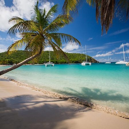 فندق Mayreau Islandفي  Salt Whistle Bay Retreat المظهر الخارجي الصورة