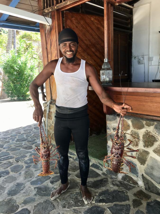 فندق Mayreau Islandفي  Salt Whistle Bay Retreat المظهر الخارجي الصورة